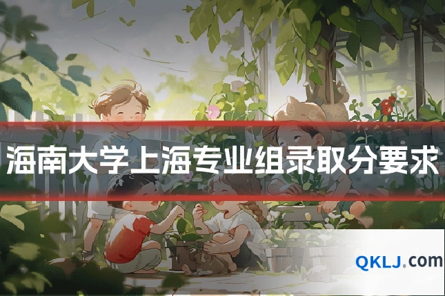 海南大学上海专业组录取分要求