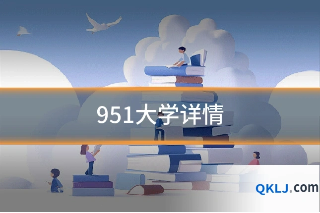 951大学详情
