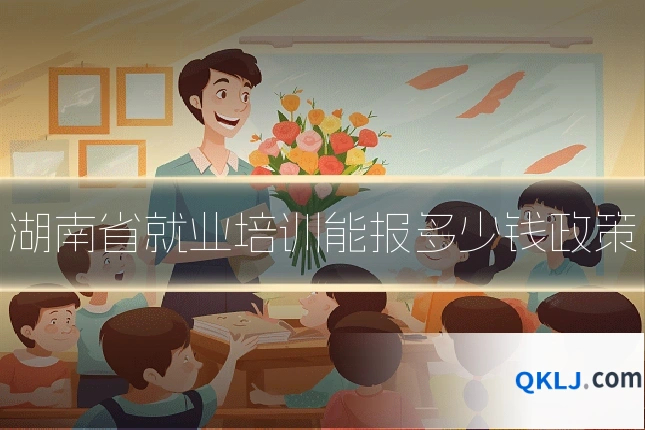 湖南省就业培训能报多少钱政策