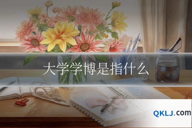 大学学博是指什么