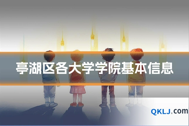 亭湖区各大学学院基本信息
