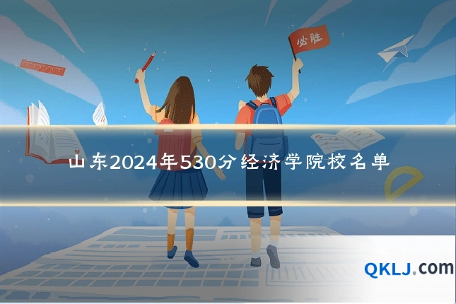 山东2024年530分经济学院校名单