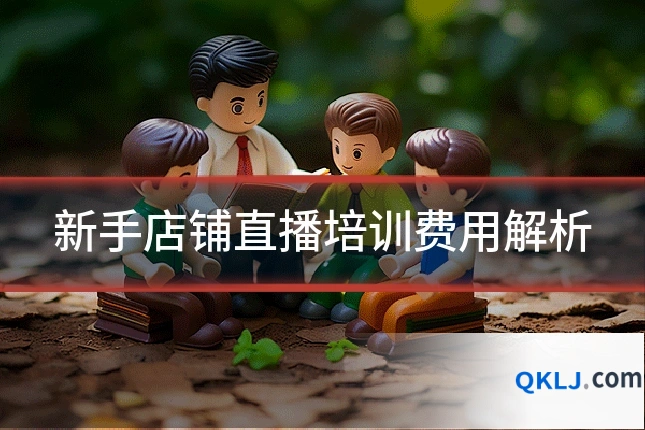 新手店铺直播培训费用解析