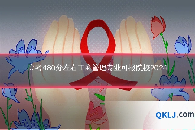 高考480分左右工商管理专业可报院校2024