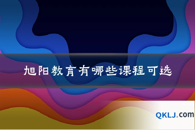旭阳教育有哪些课程可选