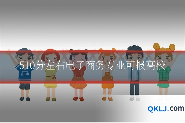 510分左右电子商务专业可报高校