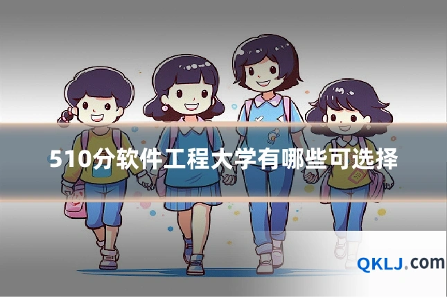 510分软件工程大学有哪些可选择