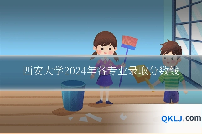 西安大学2024年各专业录取分数线