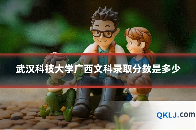 武汉科技大学广西文科录取分数是多少