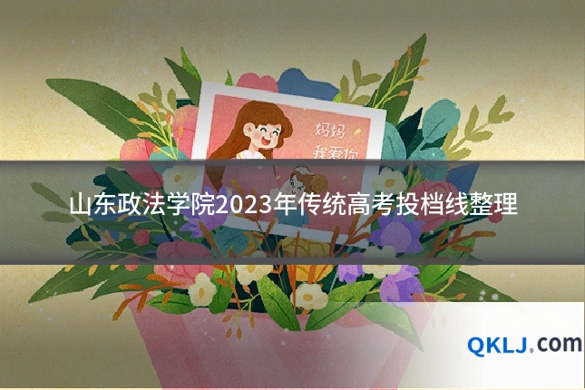 山东政法学院2023年传统高考投档线整理