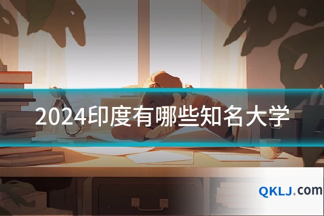 2024印度有哪些知名大学