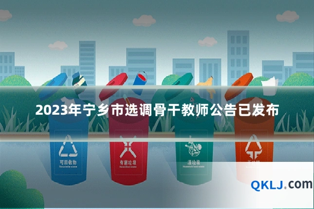 2023年宁乡市选调骨干教师公告已发布