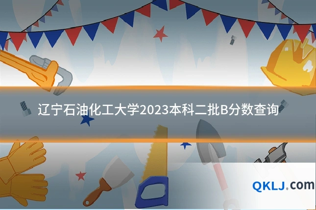 辽宁石油化工大学2023本科二批B分数查询
