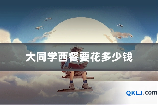 大同学西餐要花多少钱