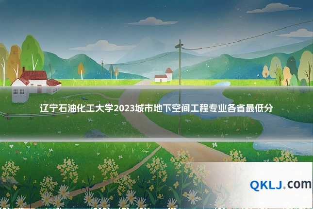 辽宁石油化工大学2023城市地下空间工程专业各省最低分